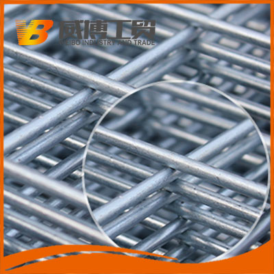 熱鍍鋅電焊網(wǎng)生產(chǎn)廠家